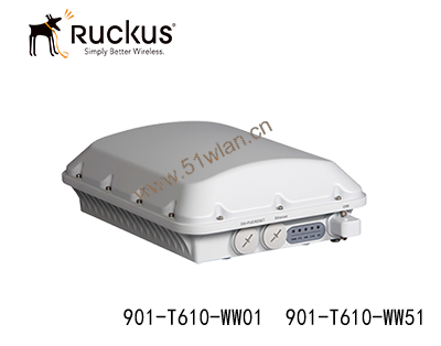 Ruckus優科T610室外AP 901-T610-WW01 901-T610-WW51